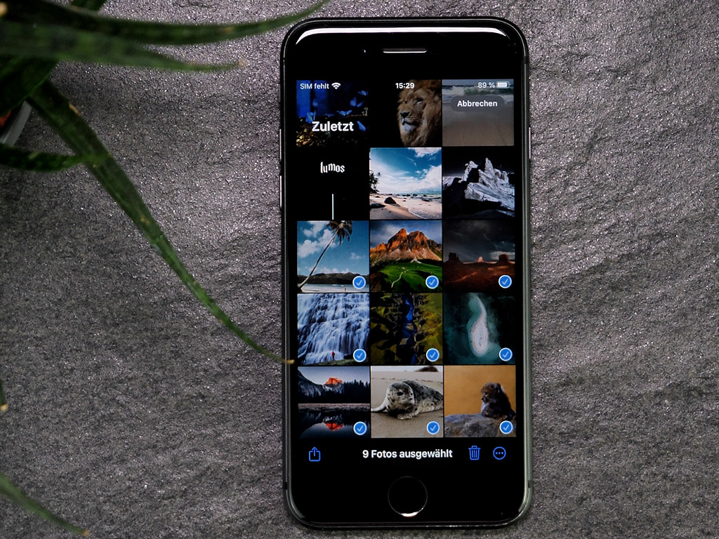 2. Wählen Sie die Bilder aus, die Sie in den Alben speichern möchten